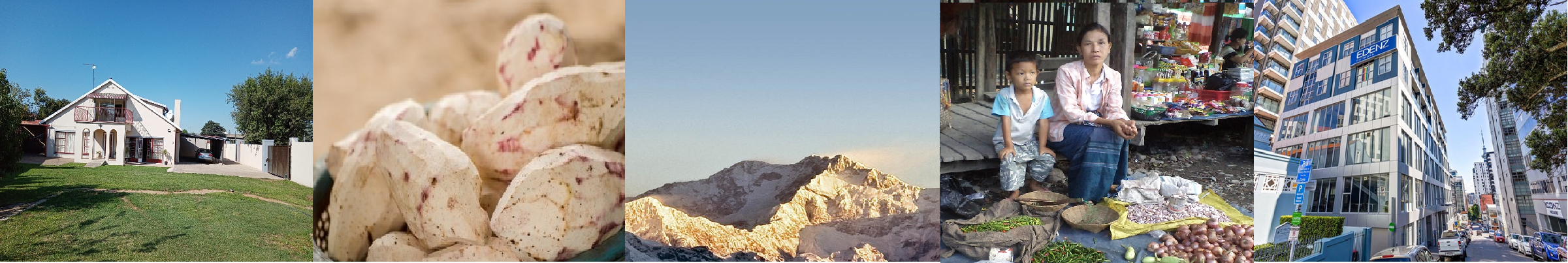 Banner Img